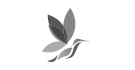 GLF